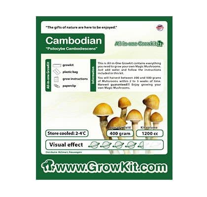 Cambodian kit de cultivo de 1200cc - Tatanka.nl