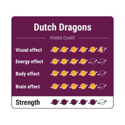 Dutch Dragons 1 - Tatanka.nl