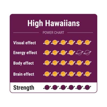 High Hawaiians - Tatanka.nl