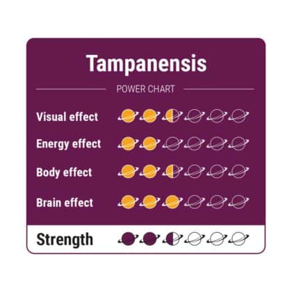 Tampanensis - Tatanka.nl