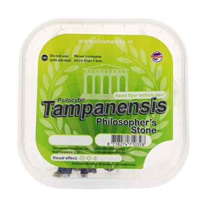 Tampanensis Hoofd - Tatanka.nl