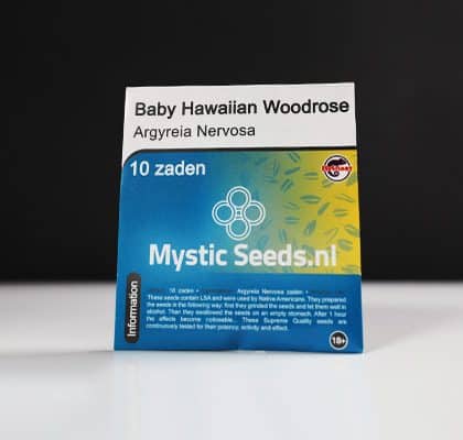 Bebé Hawaiian Woodrose Argyreia Nervosa - Tatanka.nl
