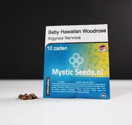 Baby Hawaiian Woodrose Argyreia Nervosa Seeds - Tatanka.nl