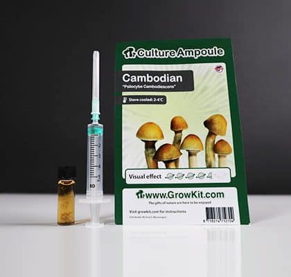 Cambodian Mushroom Spore - Tatanka.nl