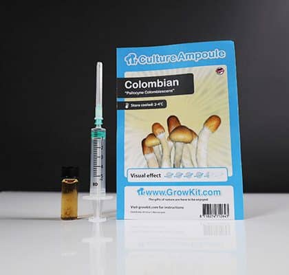 Colombian Mushroom Spore - Tatanka.nl