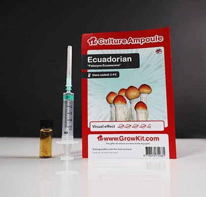 Ecuadorian Mushroom Spore - Tatanka.nl