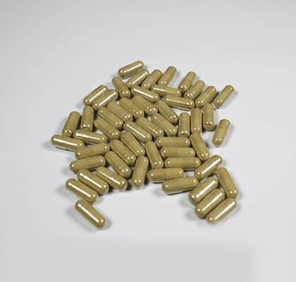 Damiana Capsules - Tatanka.nl