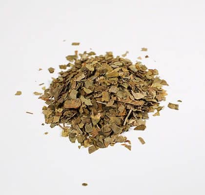 Ginkgo Biloba Herbs - Tatanka.fr