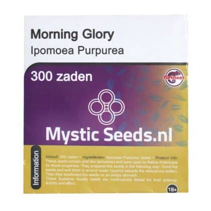 Morning Glory - Tatanka.nl