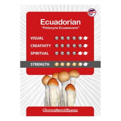 Ecuadorian Kit de culture - Tatanka.nl