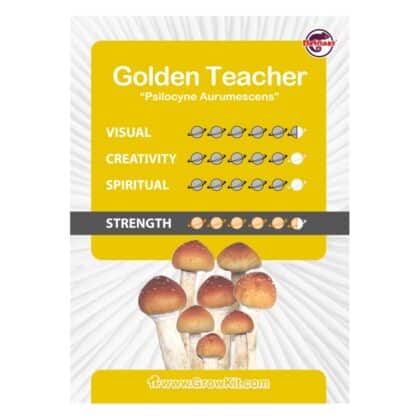 Golden Teacher Growkit Kaartje - Tatanka.nl