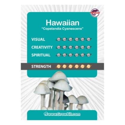 Hawaiian Growkit Kaartje - Tatanka.nl