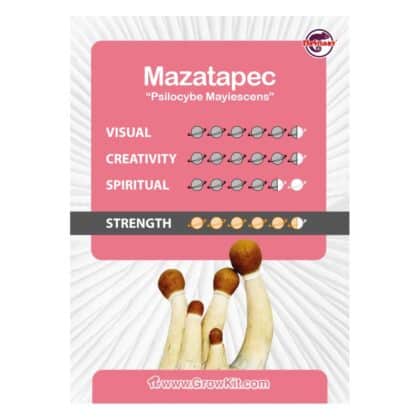 Mazatapec KIt-kaart laten groeien