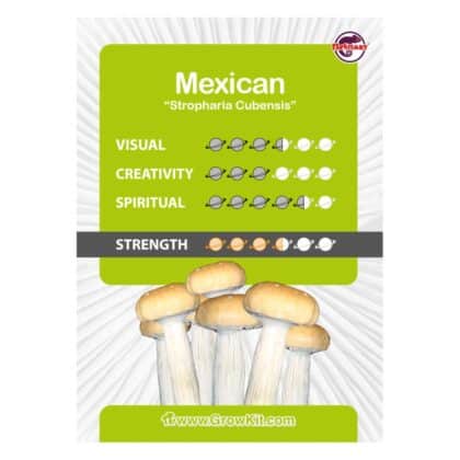 Mexican Growkit Kaartje - Tatanka.nl