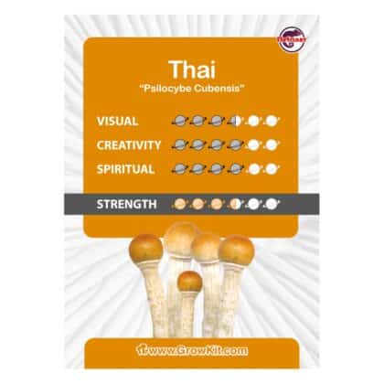 Thai Growkit Kaartje - Tatanka.nl