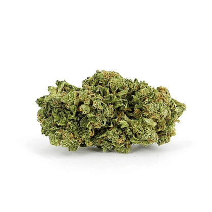 Auto Magnum cc - Tatanka.nl