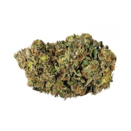 Bruce banner 600x600 1 - Tatanka.nl