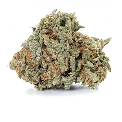 Gorilla Glue nr4 Gefeminiseerde cc - Tatanka.nl