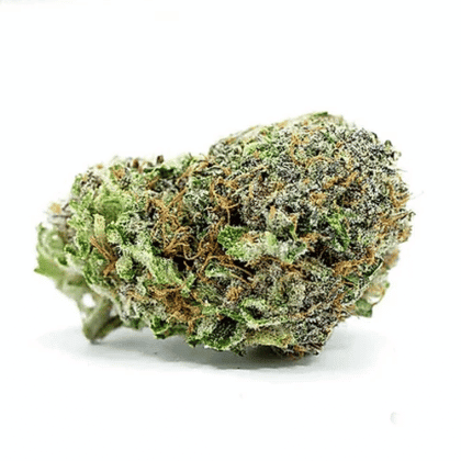 Green Crack Gorilla Feminized cc - Tatanka.nl