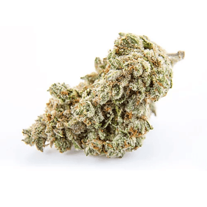 Wifi OG Feminized cc - Tatanka.nl