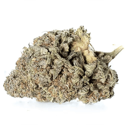 Zkittlez Femminizzata cc - Tatanka.nl