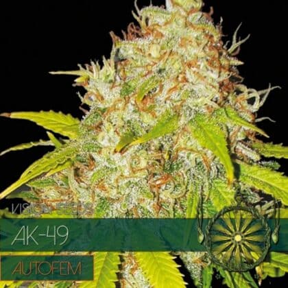 autofem vision seeds ak 49 500x500 1 - Tatanka.nl