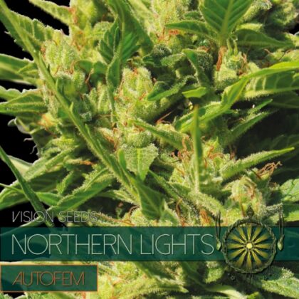 autofem vision seeds Nordlicht 500x500 1 - Tatanka.nl