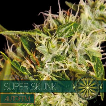 autofem vision Samen super skunk 500x500 1 - Tatanka.nl