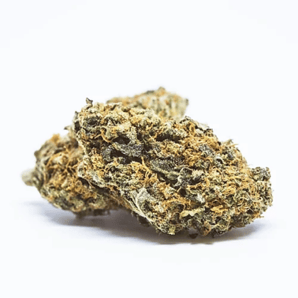 black dog og feminized cc - Tatanka.nl