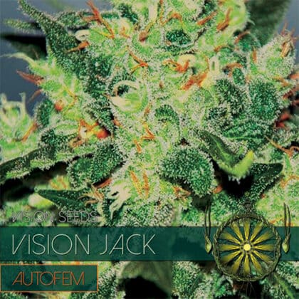 vision seeds auto - Tatanka.nl