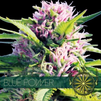 vision seeds blue power 500x500 1 - Tatanka.nl