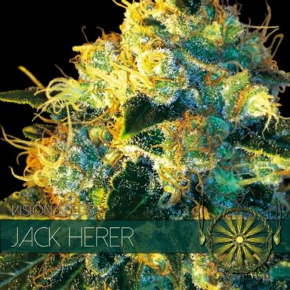 vision zaden jack herer 500x500 1 - Tatanka.nl