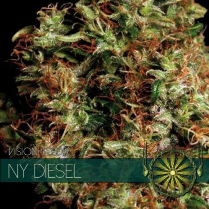 sementes de visão ny diesel 500x500 1 - Tatanka.nl