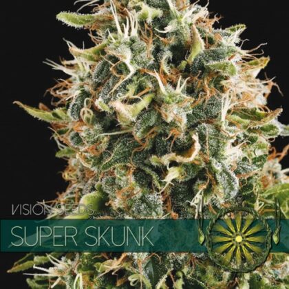 vision zaden super skunk 500x500 1 - Tatanka.nl