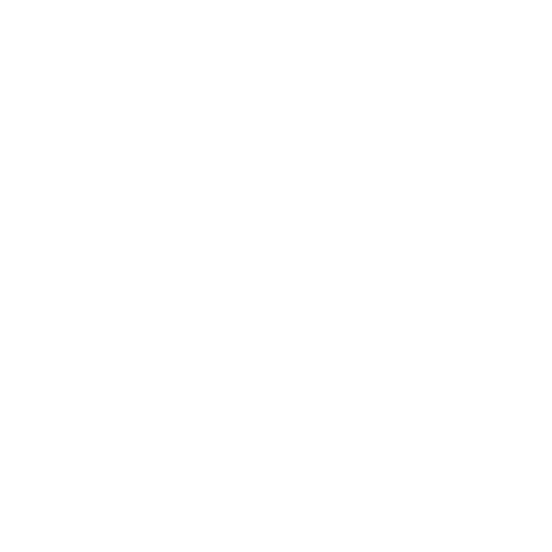 Whatsapp Logo wit