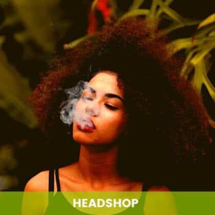 Headshop TOP 10