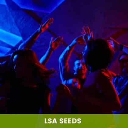 LSA Seeds