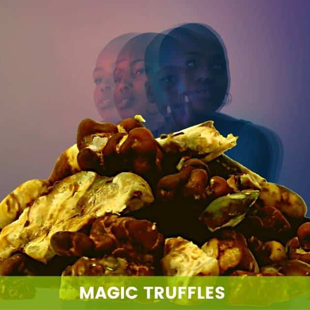 Buy Magic Truffle Grinder