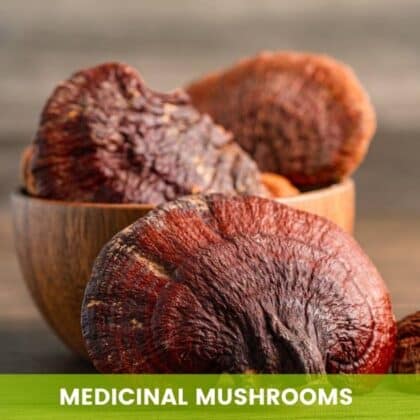 Medicinal Mushrooms