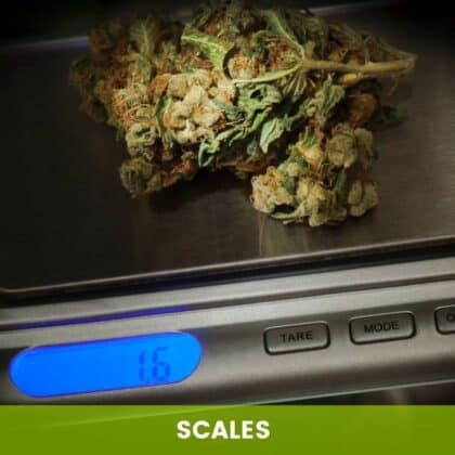 Scales