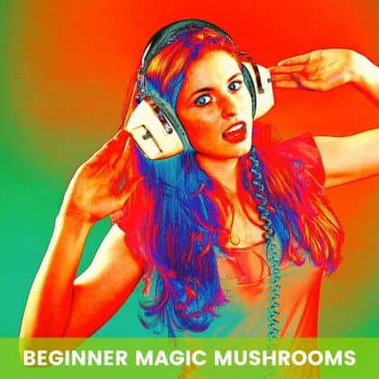 Beginner Magic Mushroom Grow Kits