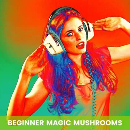 Magic Mushroom Grow Kits für Anfänger