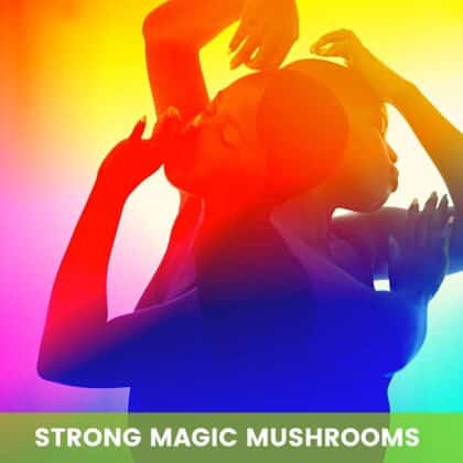Strongest Magic Mushroom Grow Kits
