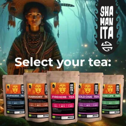 Überblick über alle Geschmacksrichtungen von Magic Truffle Tea, einschließlich Fireherb, Pure Life, Gold Chai, Harmony und Euphoria, der die Vielfalt und Reichhaltigkeit der Teeauswahl zeigt.