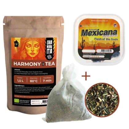 Starter Chá com Mexicana 10 gramas de trufas mágicas e Harmony Bio Tea para principiantes no mundo mágico.