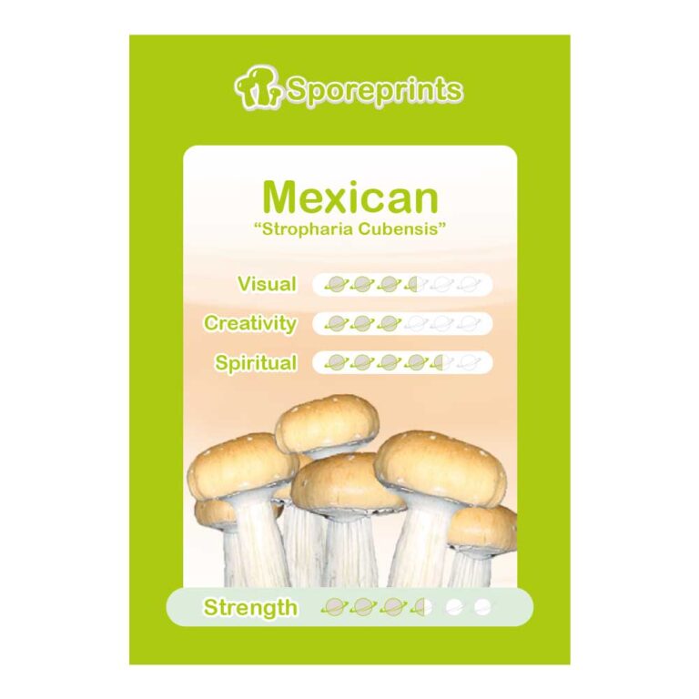 Mexican Sporeprint Tatanka Amsterdam Webshop mexican-sporeprint-tatanka-amsterdam-webshop
