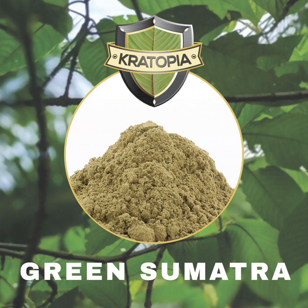 Groene Sumatra Kratom - Tatanka.nl Groene Sumatra Inhoud