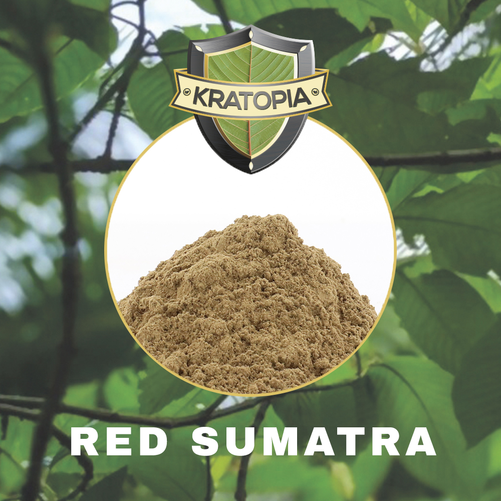 Red Sumatra Kratom - Tatanka.nl Rode Sumatra Inhoud