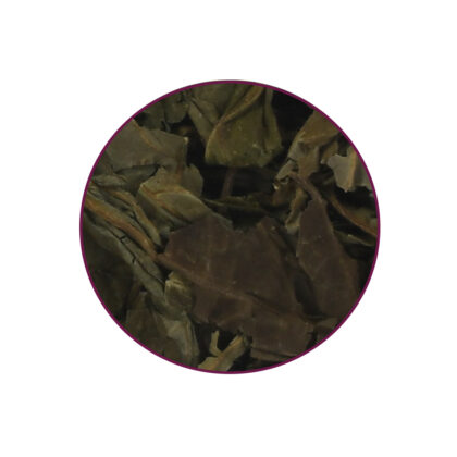 Salvia Divinorum Leaf - Tatanka.nl Salvia Divinorum contents