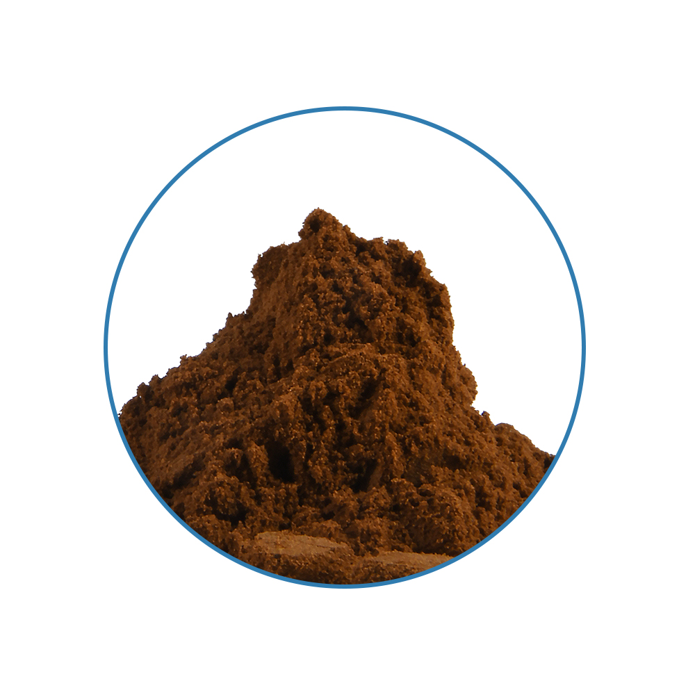 Ekstrakt z absyntu 10X – Tatanka.nl Absinth 10X Extract - obrazek 2